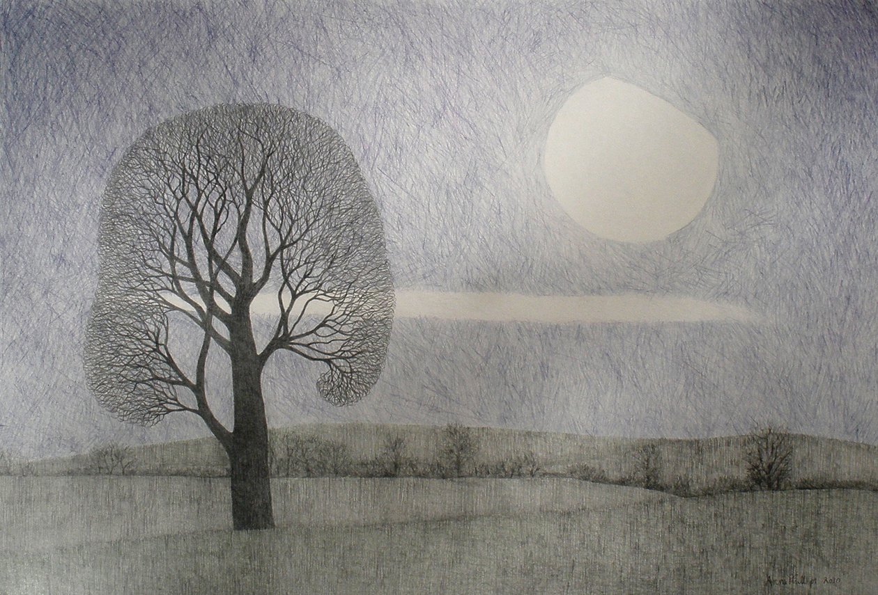 Februar Månen, 2010 (farvet blyant på papir) af Anna Phillips