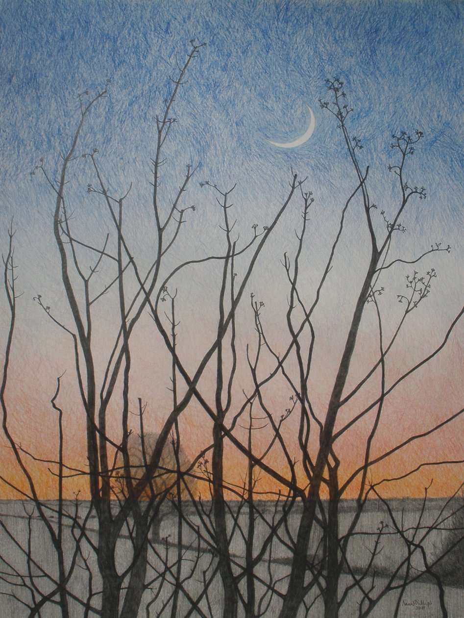Fra mit vindue, 2011 (farvet blyant på papir) af Anna Phillips