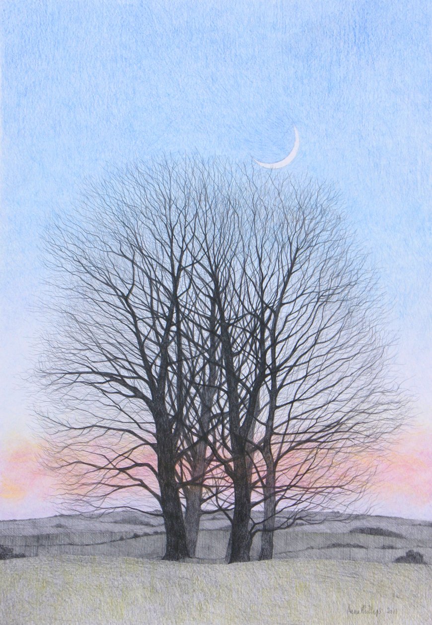 New Moon, 2011 (farvet blyant på papir) af Anna Phillips