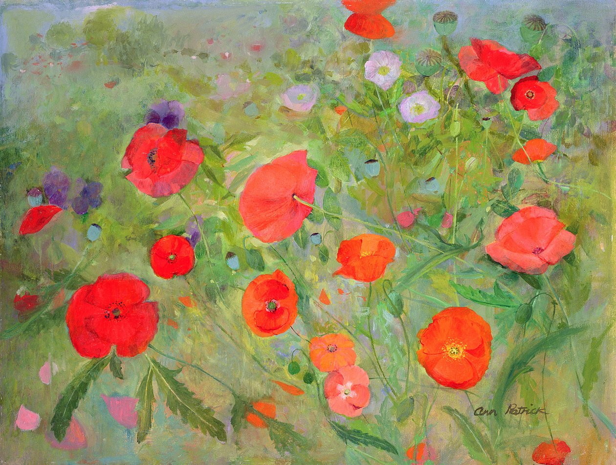 Arpeggiando, 1998 af Ann Patrick