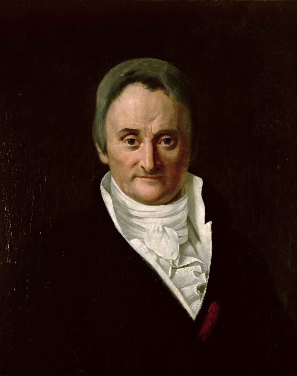 Philippe Pinel (1745-1826) af Anna M. Merimee