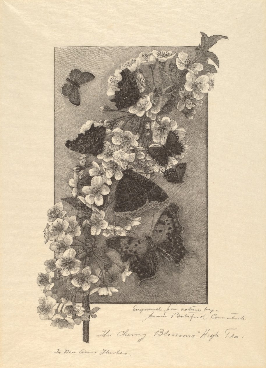 The Cherry Blossoms - High Tea af Anna Botsford Comstock