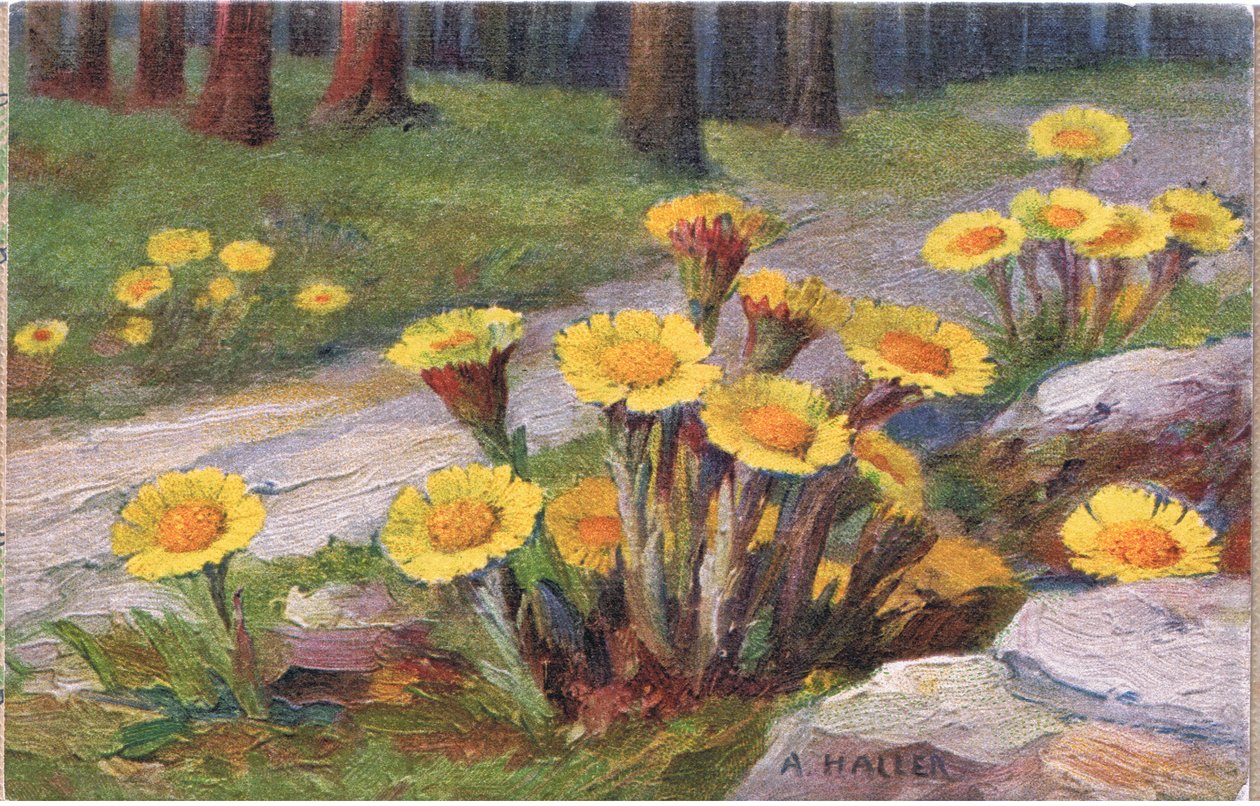 Følfod, postkort, 1940