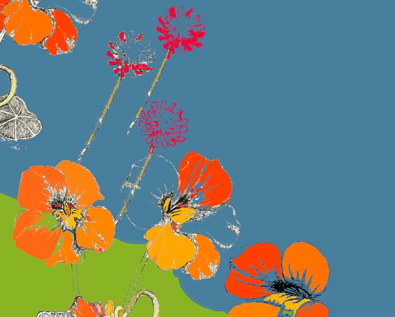 Nasturtium af Anna Platts