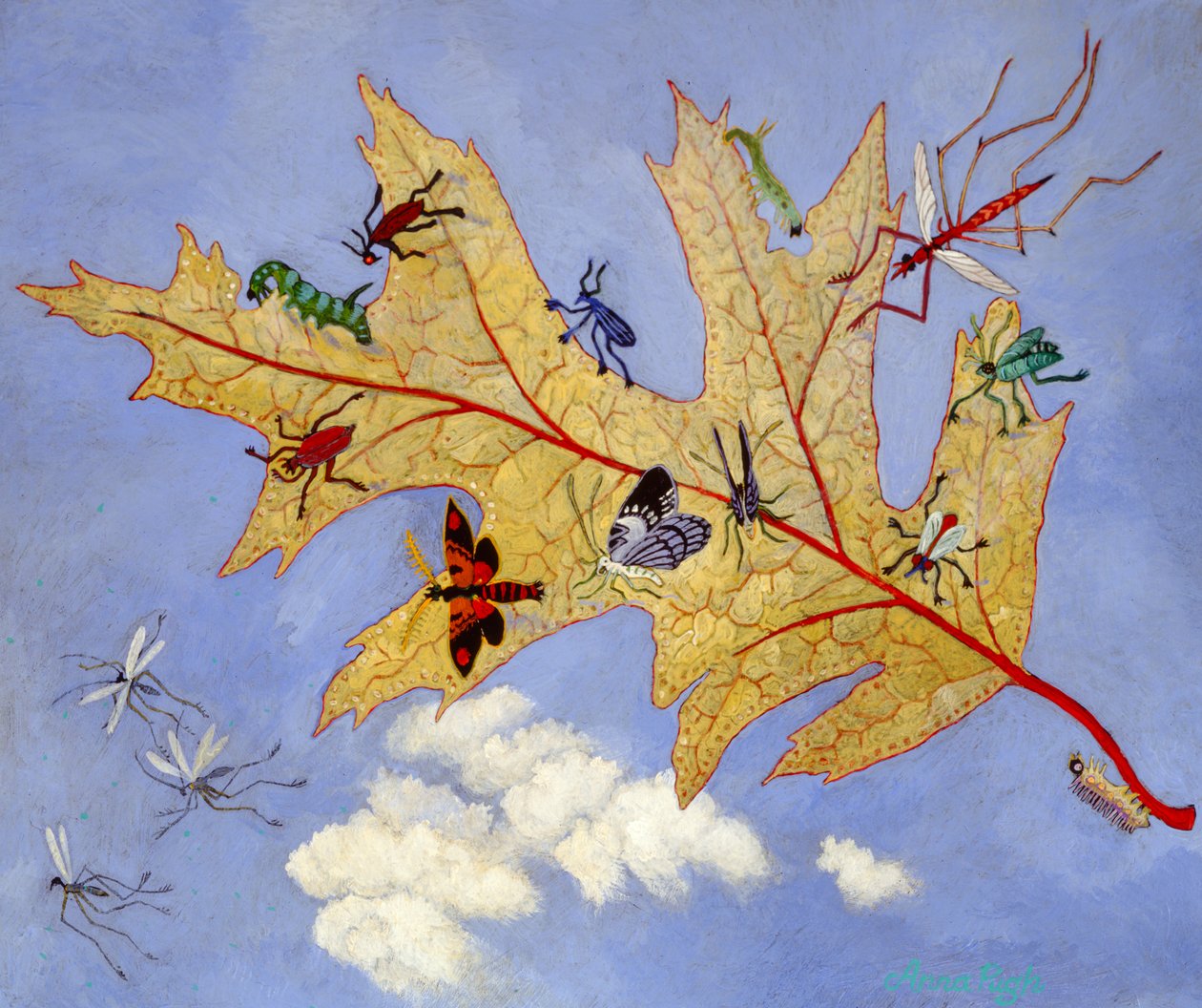 Efterårsblad, 2009 (akryl) af Anna Pugh
