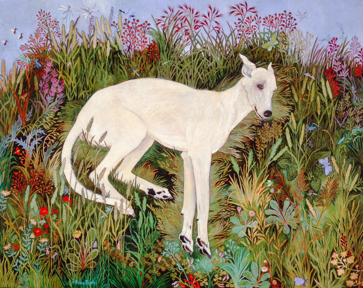 Bliss off Grass, 2009 (akryl) af Anna Pugh