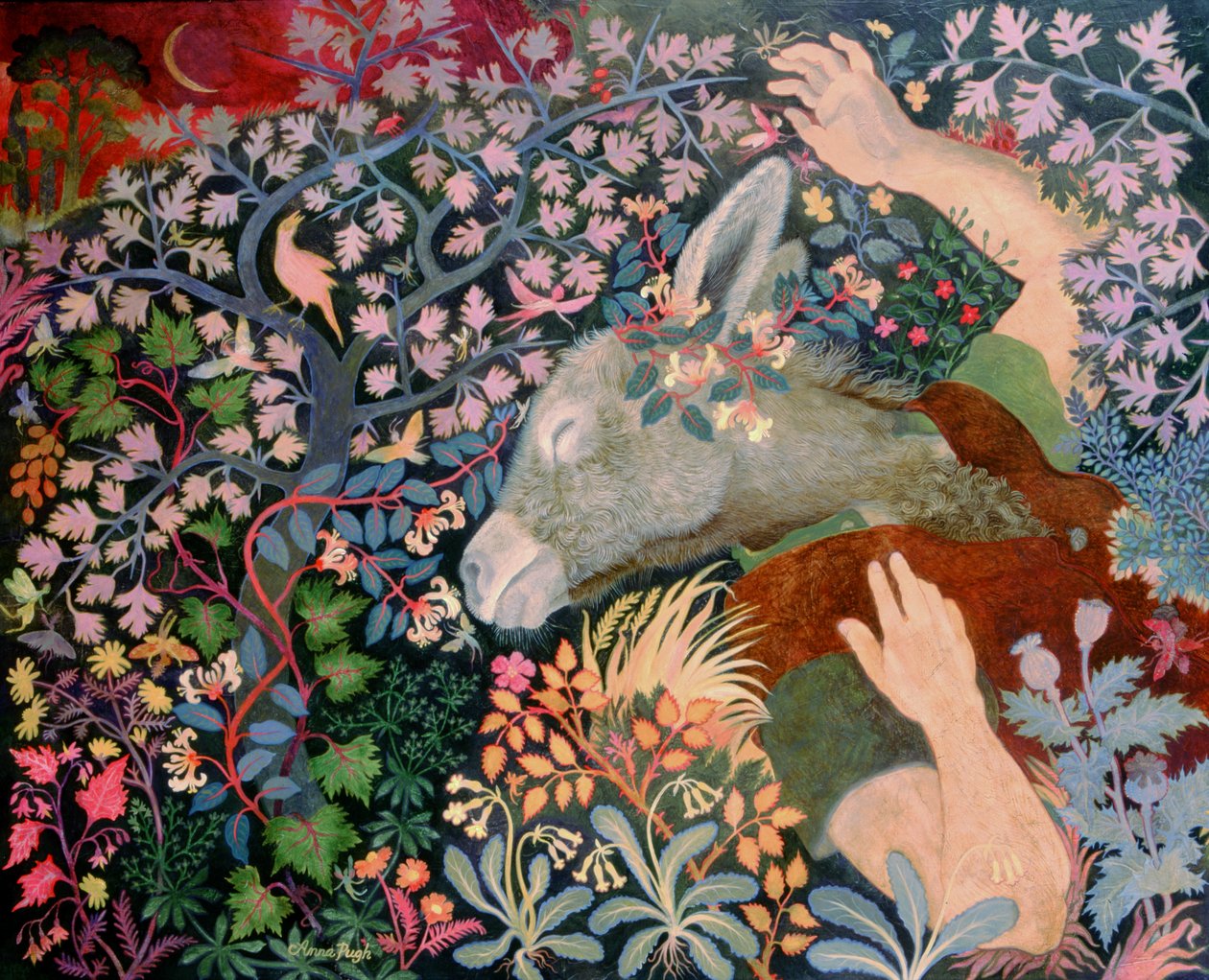 Bundens drøm af Anna Pugh
