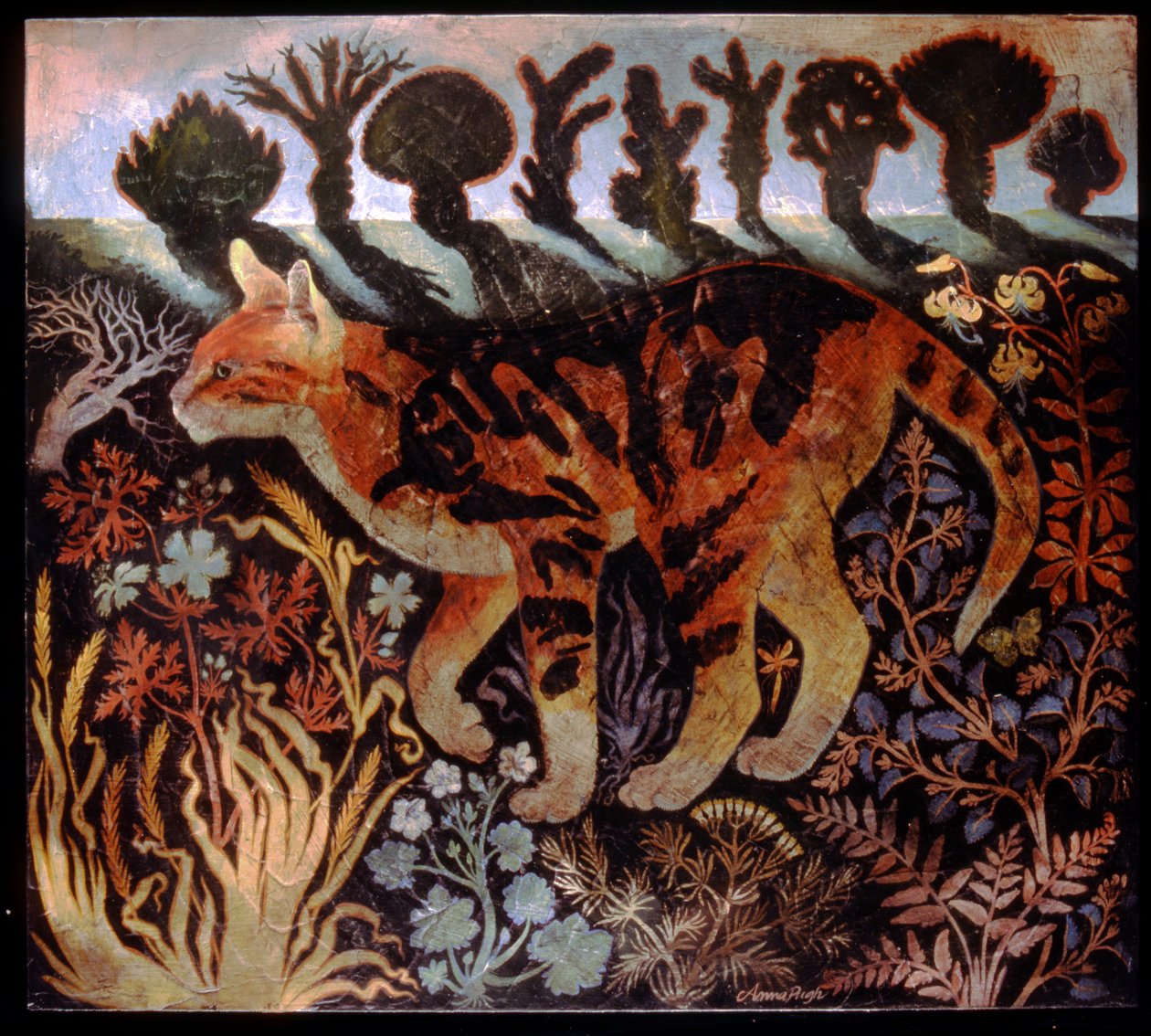 Cambridge Cat af Anna Pugh