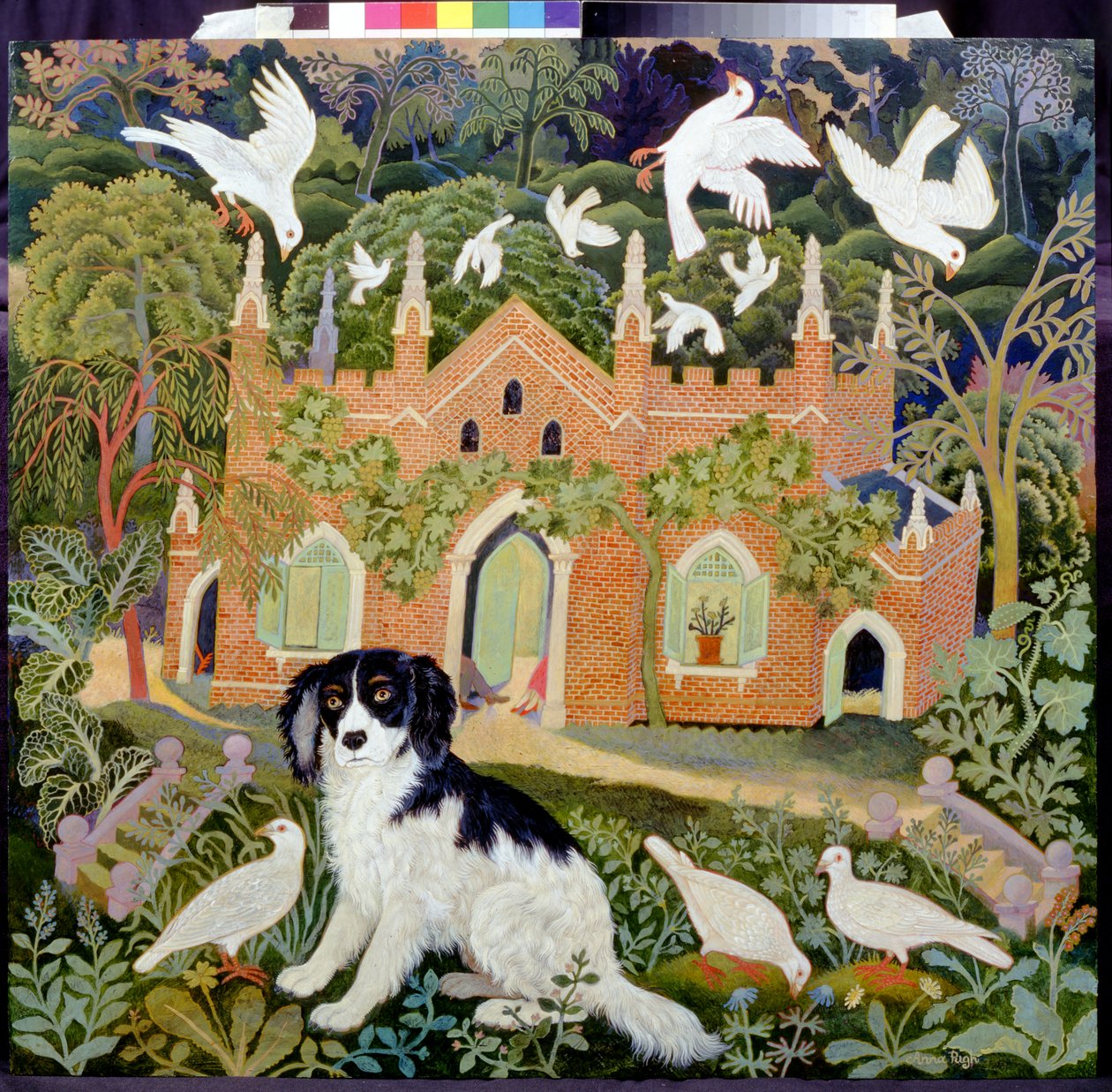 Dårskab af Anna Pugh