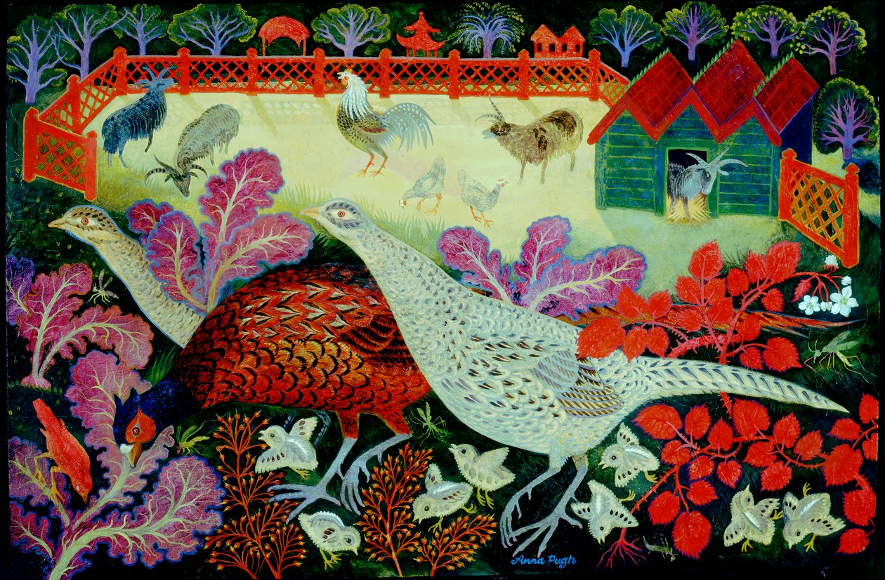 Jacob og fasanerne af Anna Pugh