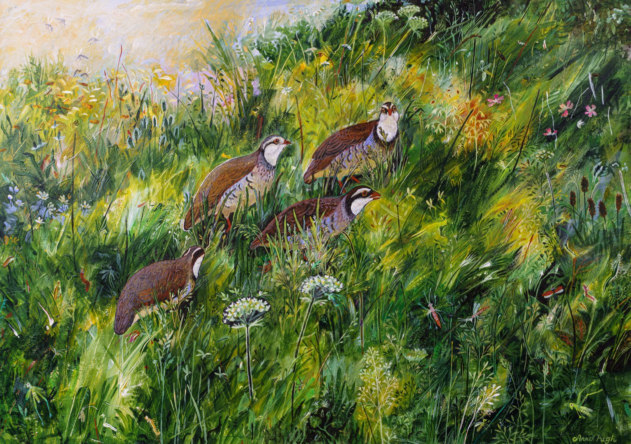 Long Grass, 2022 (akryl på plade) af Anna Pugh