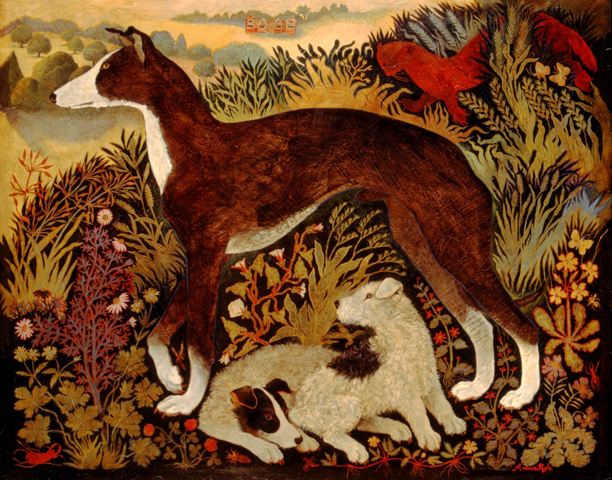Magilligans mafia af Anna Pugh