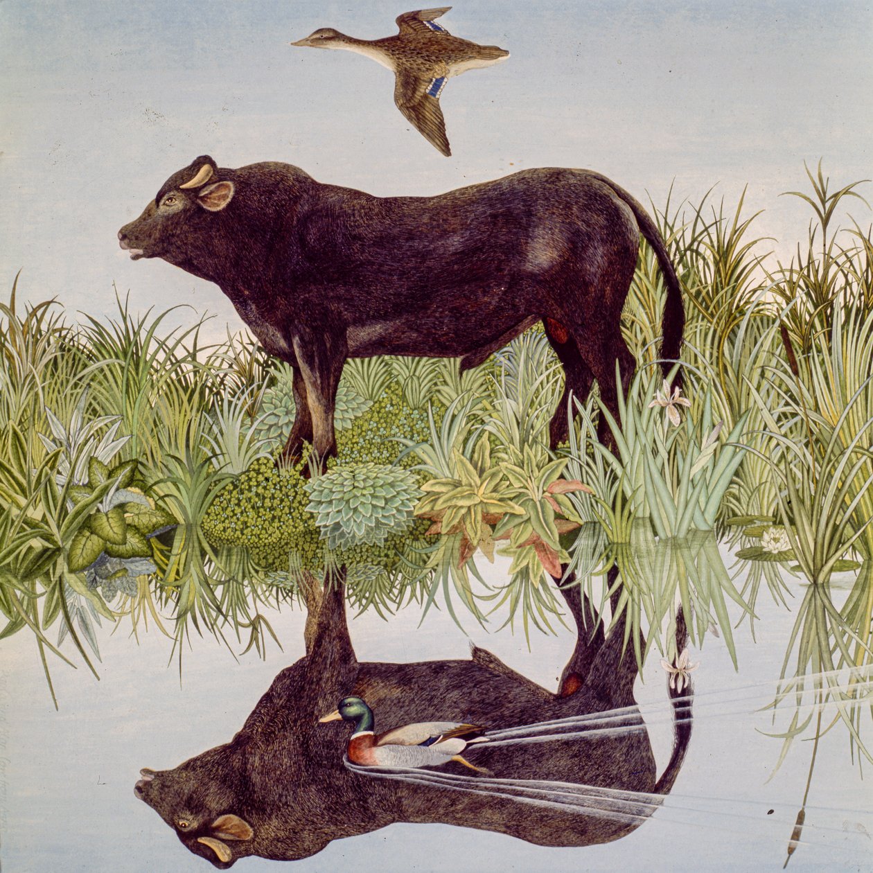 Reflekterende, 2004 (akryl) af Anna Pugh