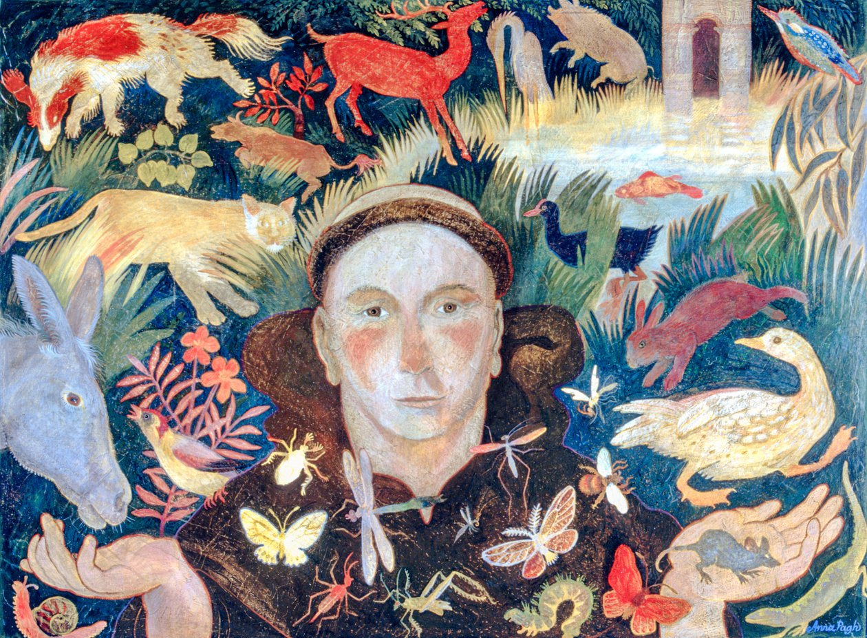 Frans af Anna Pugh