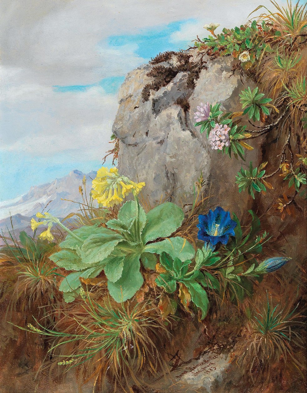 Alpine blomster af Anna Stainer Knittel