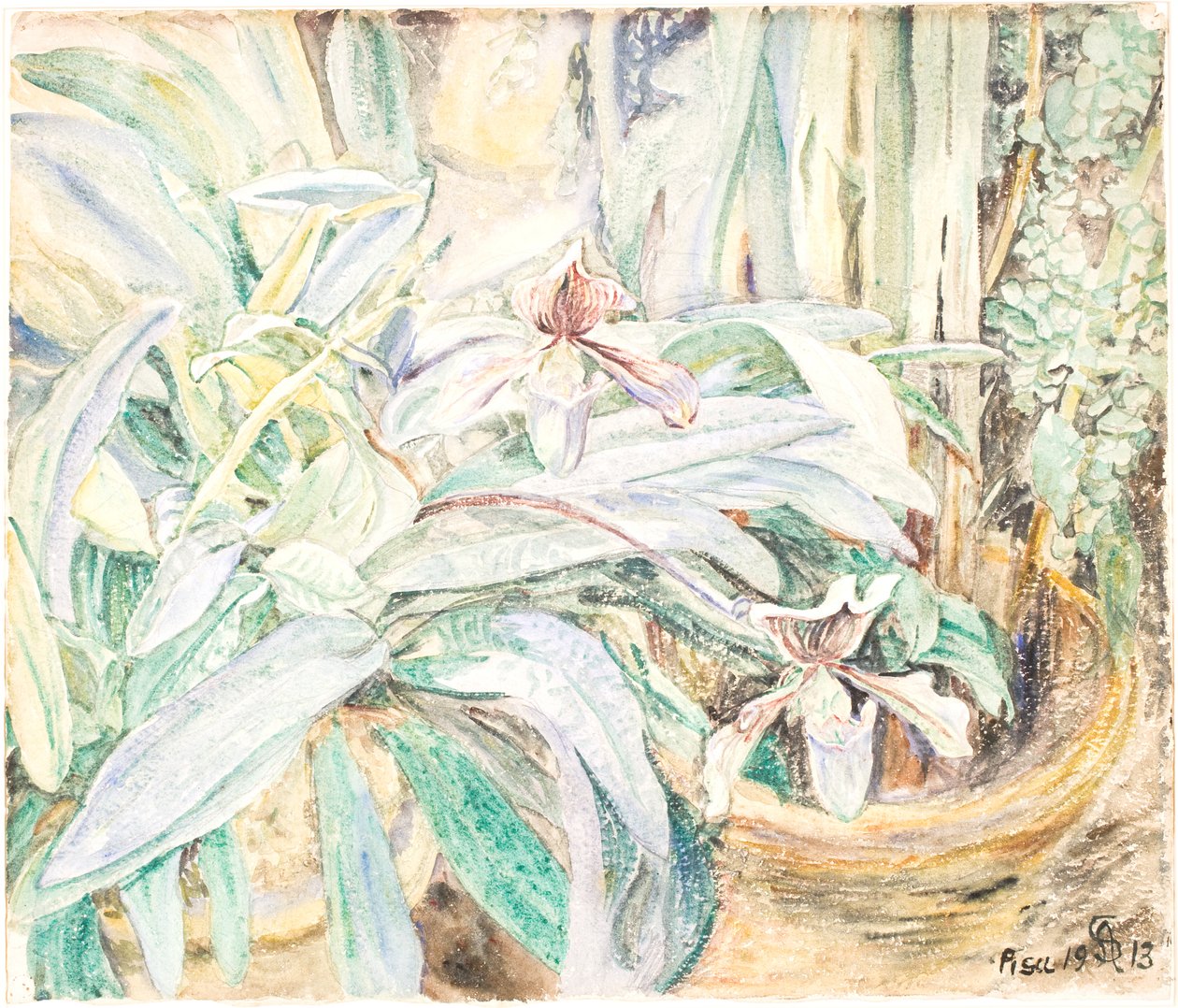 Orkideer, Botanisk Have, Pisa af Anna Syberg
