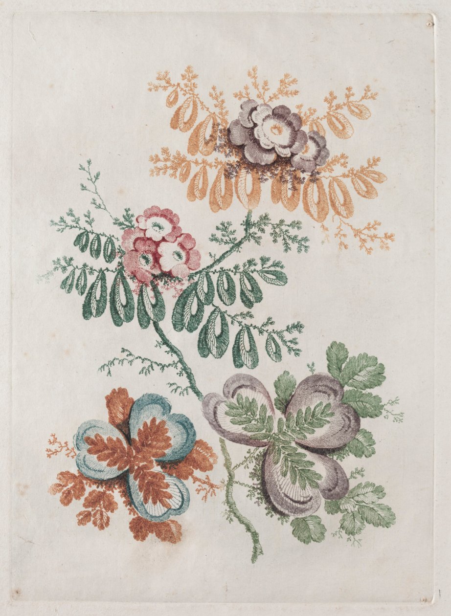 Ny suite af porteføljer af blomster ideel til brug til design og maling: Blomsterfantasier, ca. 179 af Anne Allen