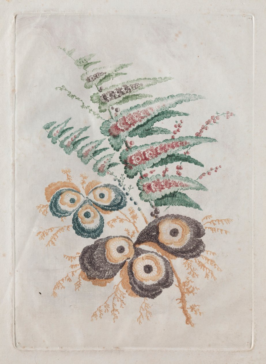 Ny suite af porteføljer af blomster ideel til brug til design og maling: Blomsterfantasier, ca. 179 af Anne Allen