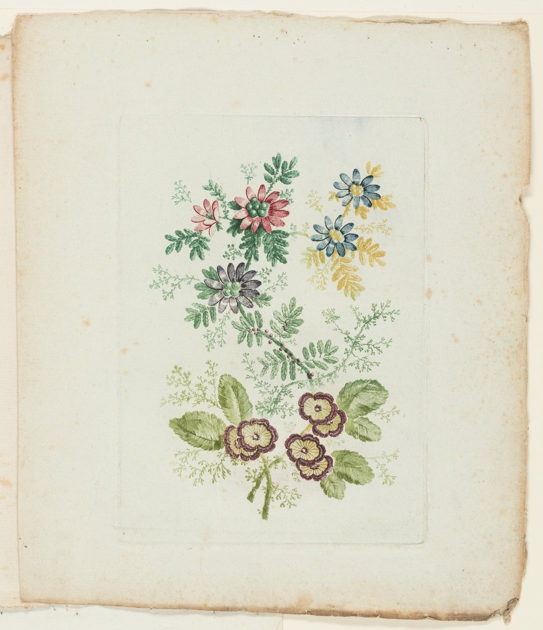 Tallerken fra New Suite of Notebooks of Ideal Flowers til brug af tegnere og malere af Anne Allen