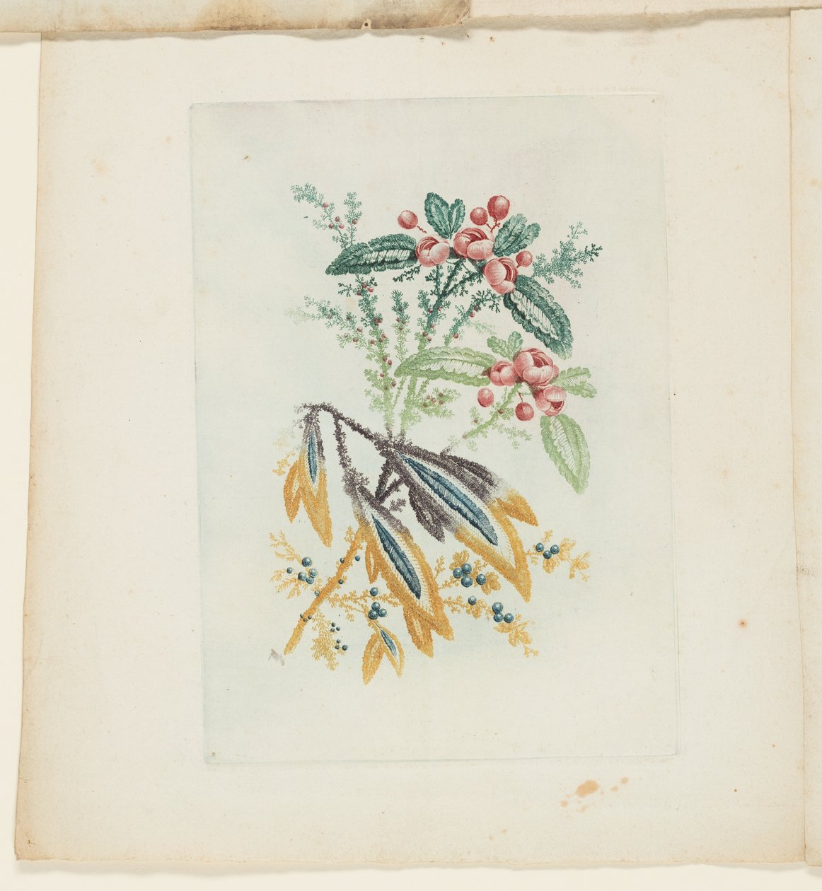 Tallerken fra New Suite of Notebooks of Ideal Flowers til brug af tegnere og malere af Anne Allen