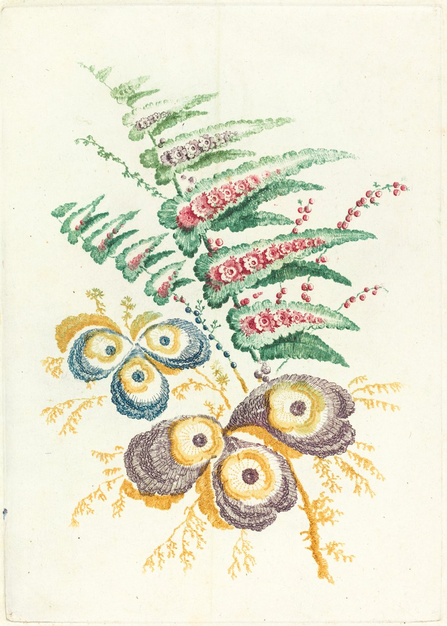 Fantastiske blomster med østers-skal blomster af Anne Allen after Jean Baptiste Pillement