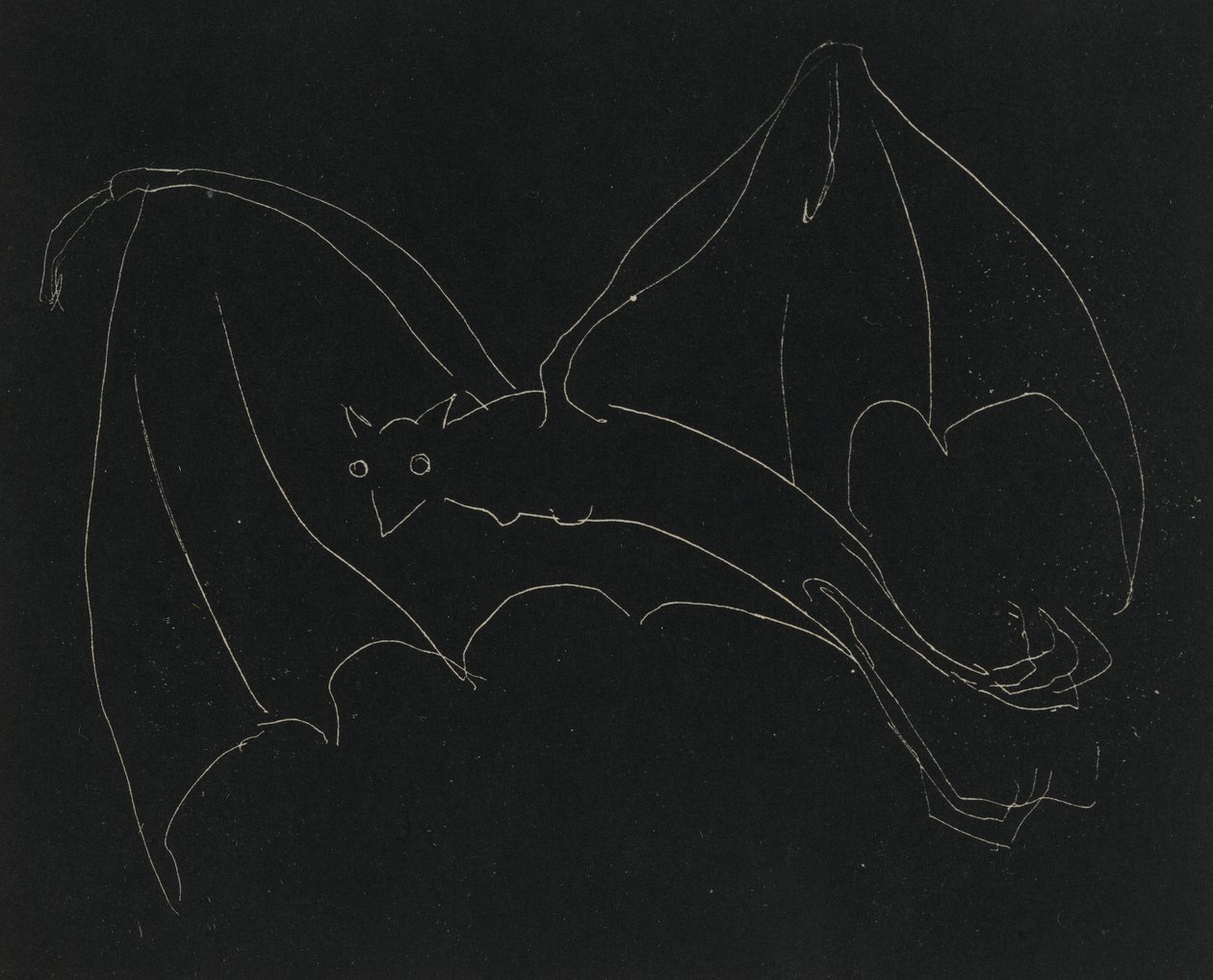 Night Series: The Bat (ætsning, hvid streg på vævet papir) af Anne Goldthwaite