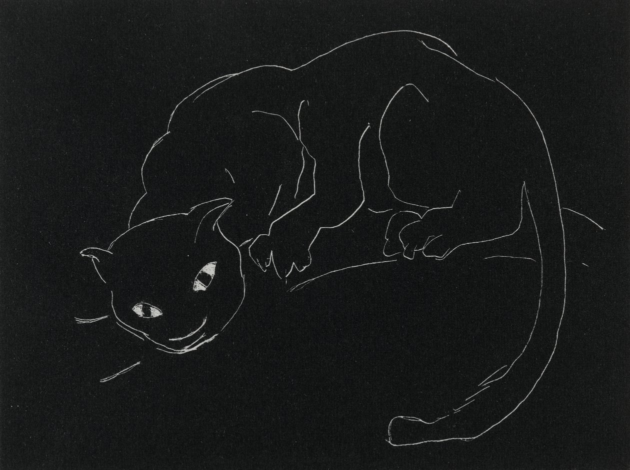 Night Series: The Cat (litho, hvid streg på vævet papir) af Anne Goldthwaite