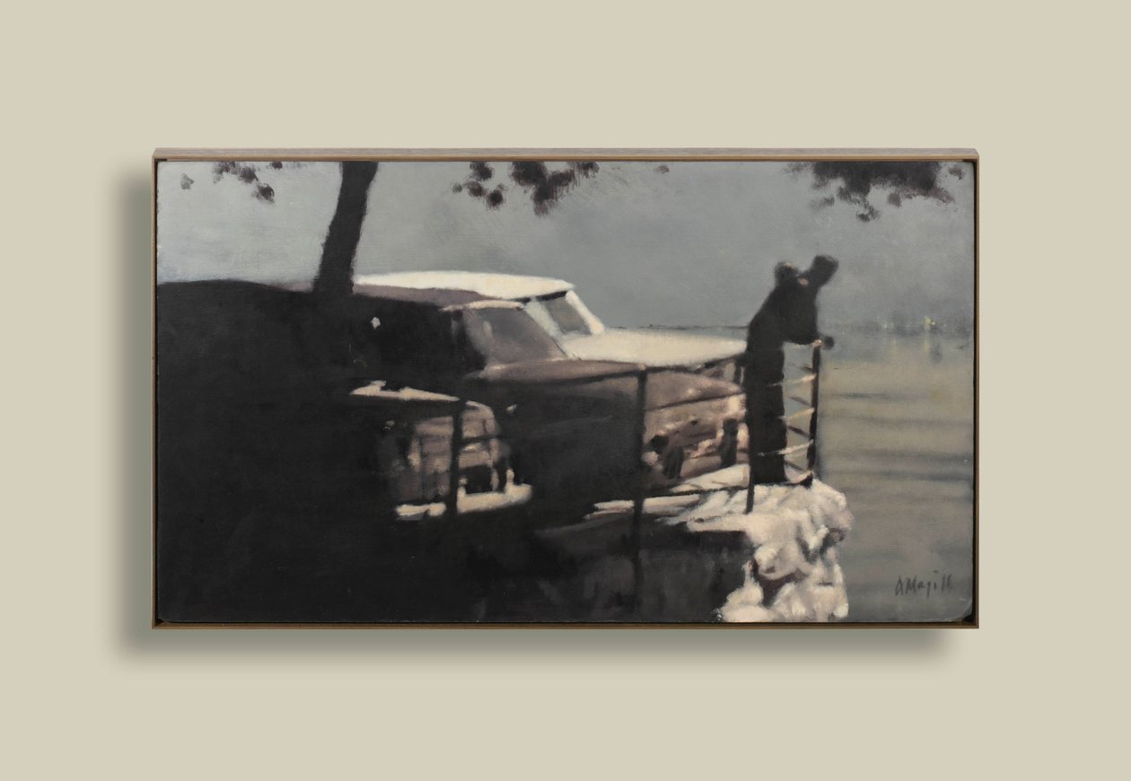 Sen aften af Anne Magill