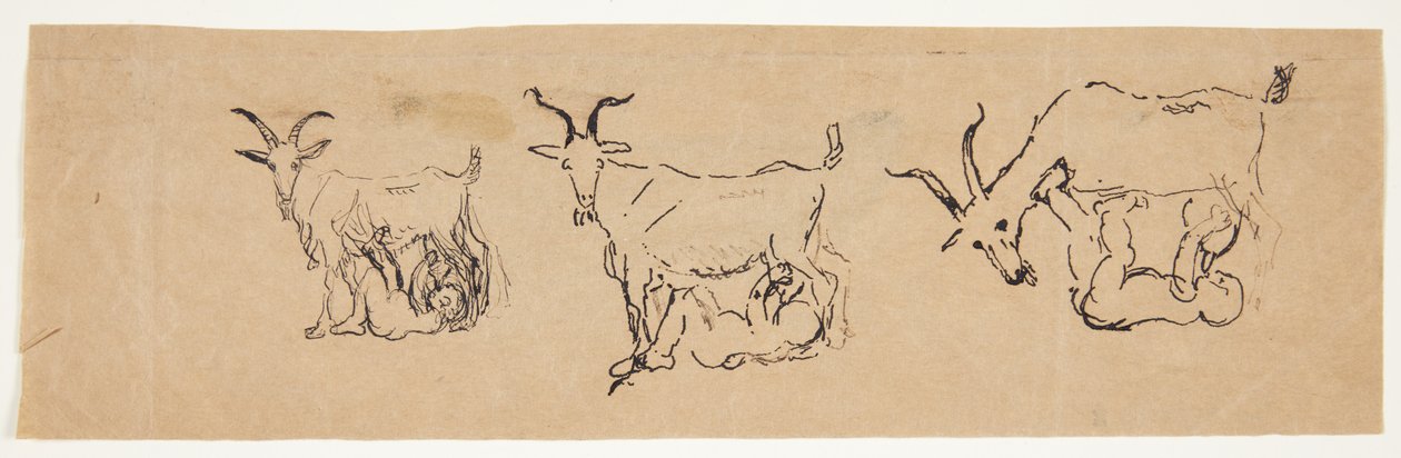 Barnet Zeus, der dier geden. 3 undersøgelser. af Anne Marie Carl Nielsen