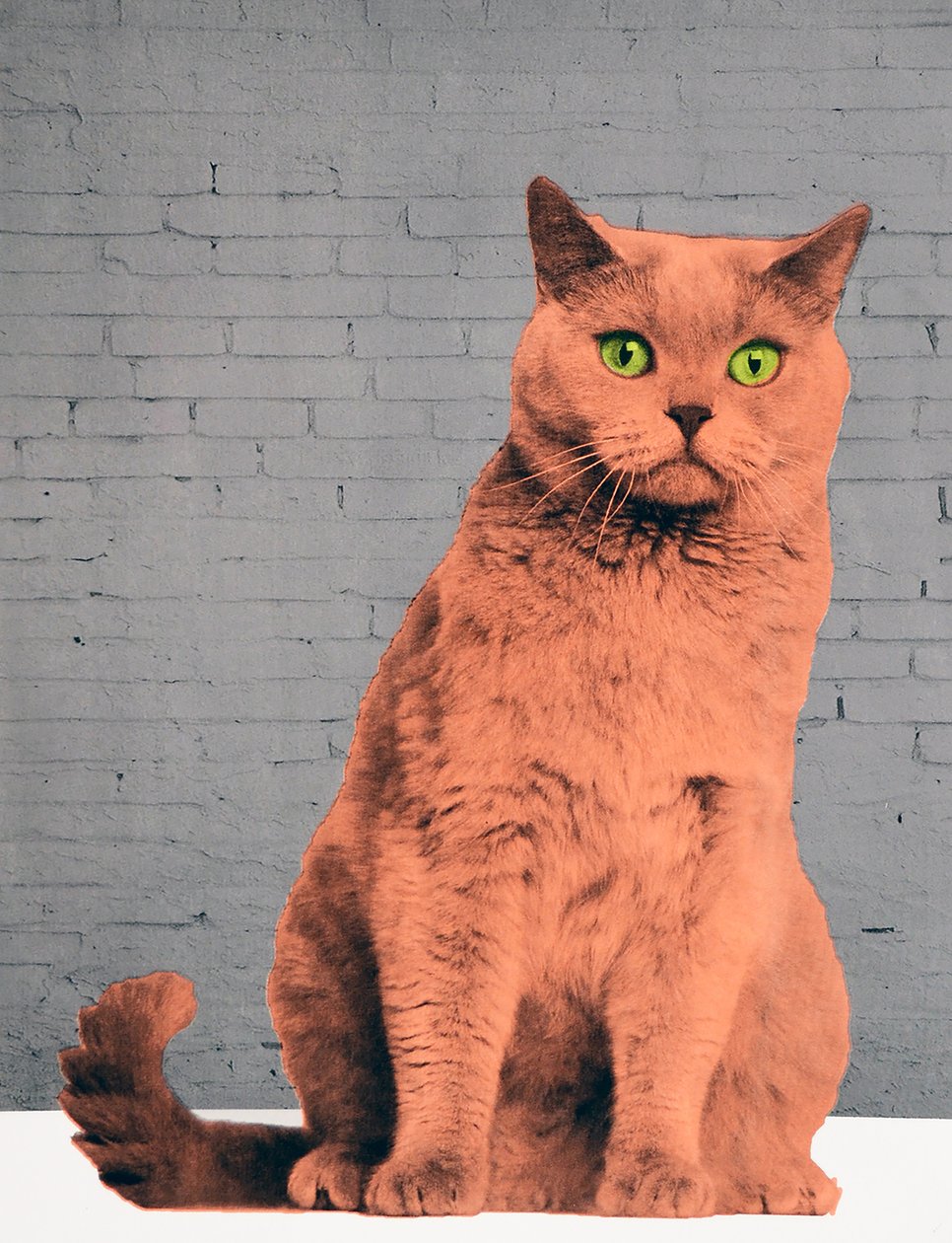 Alle vil være en kat, 2017 af Anne Storno