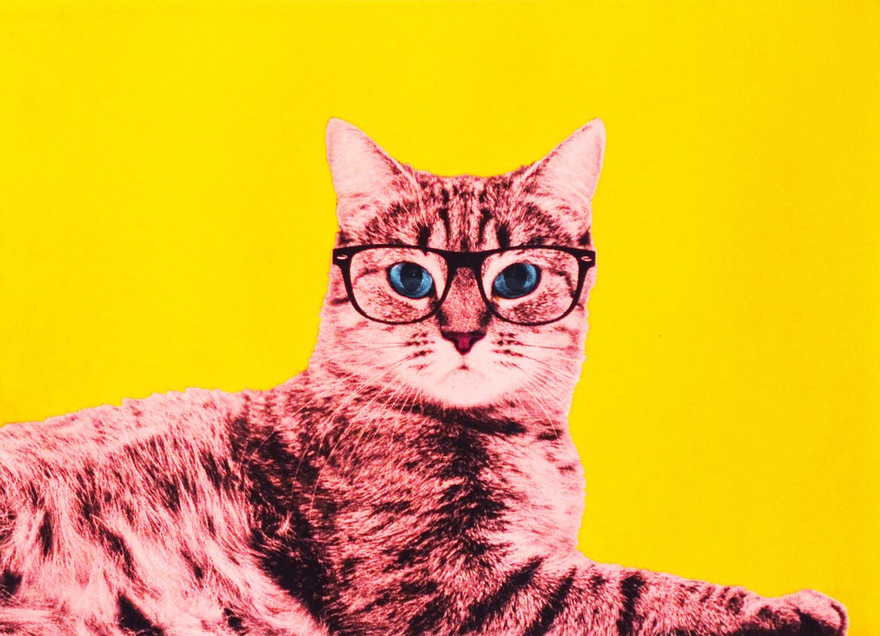 Livet i technicolor, 2017 af Anne Storno