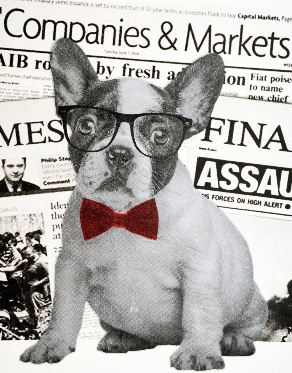 Wall street hund, 2015 af Anne Storno