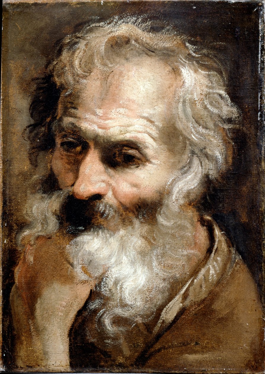 Hoved af en gammel mand af Annibale Carracci
