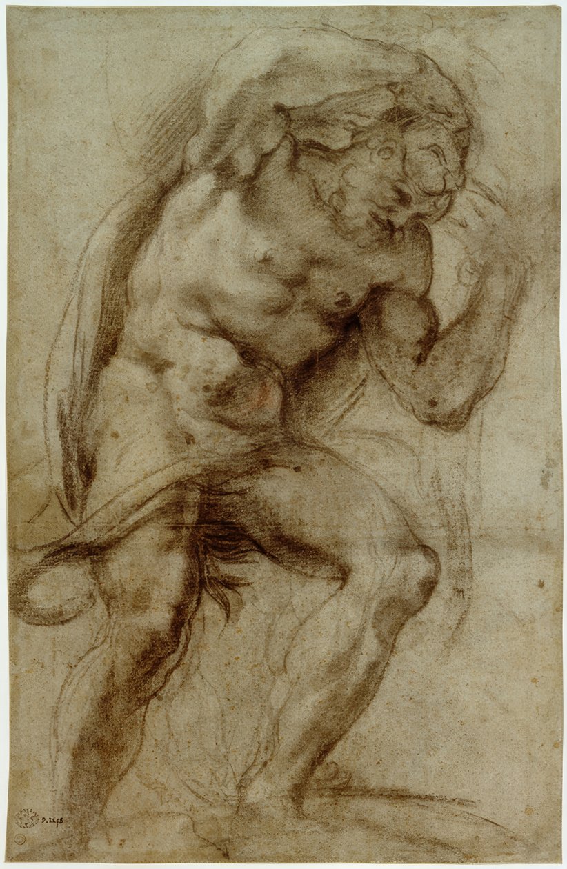 Hercules af Annibale Carracci