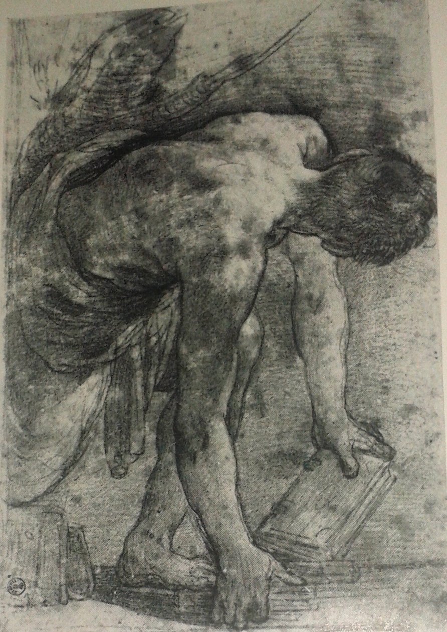 Undersøgelse for Magnani frise ferscoes af Annibale Carracci