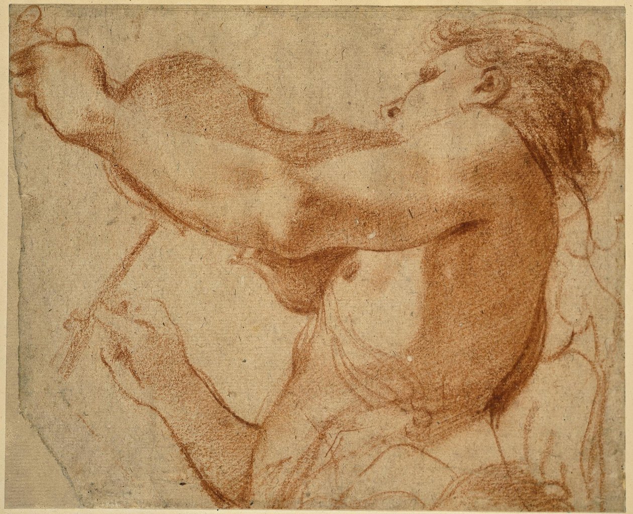 En engel, der spiller violin af Annibale Carracci