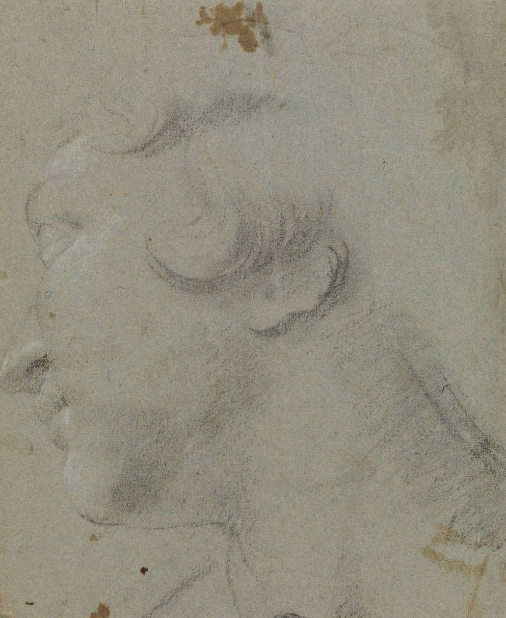 Carracci - Skt. Katharinas hoved, RCIN 902115 af Annibale Carracci
