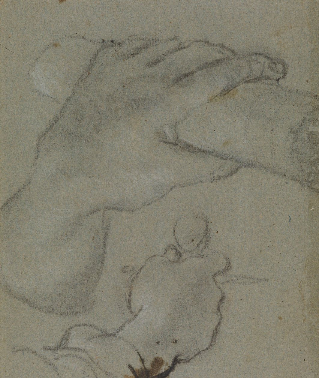 Carracci - v-studie til hænderne på Johannes E, RCIN 902115 af Annibale Carracci