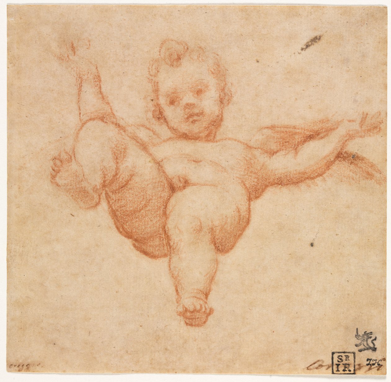 Fliegender Amor af Annibale Carracci