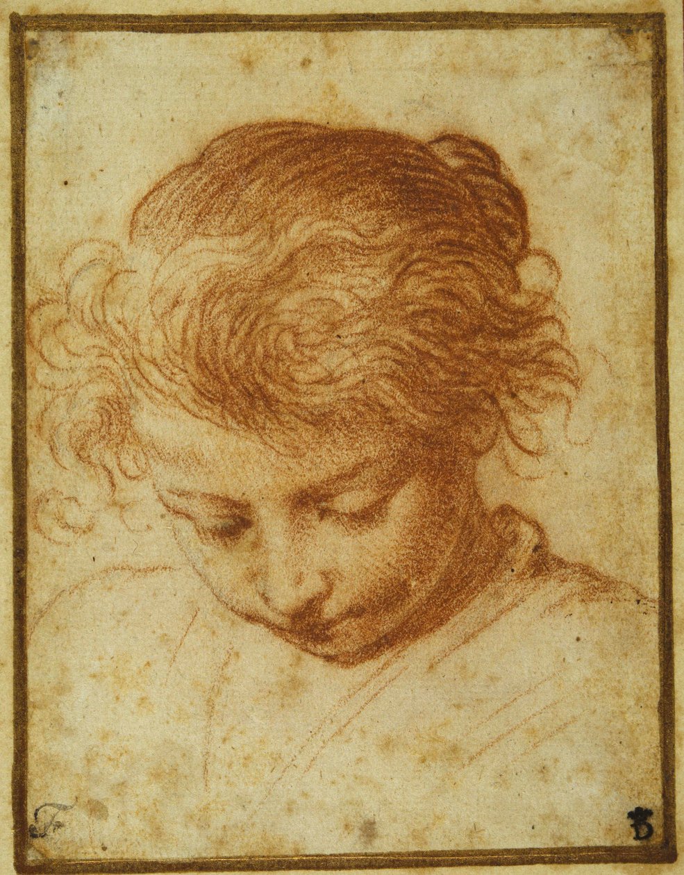 En ung piges hoved, der kigger nedad (rødt kridt på cremefarvet papir) af Annibale Carracci