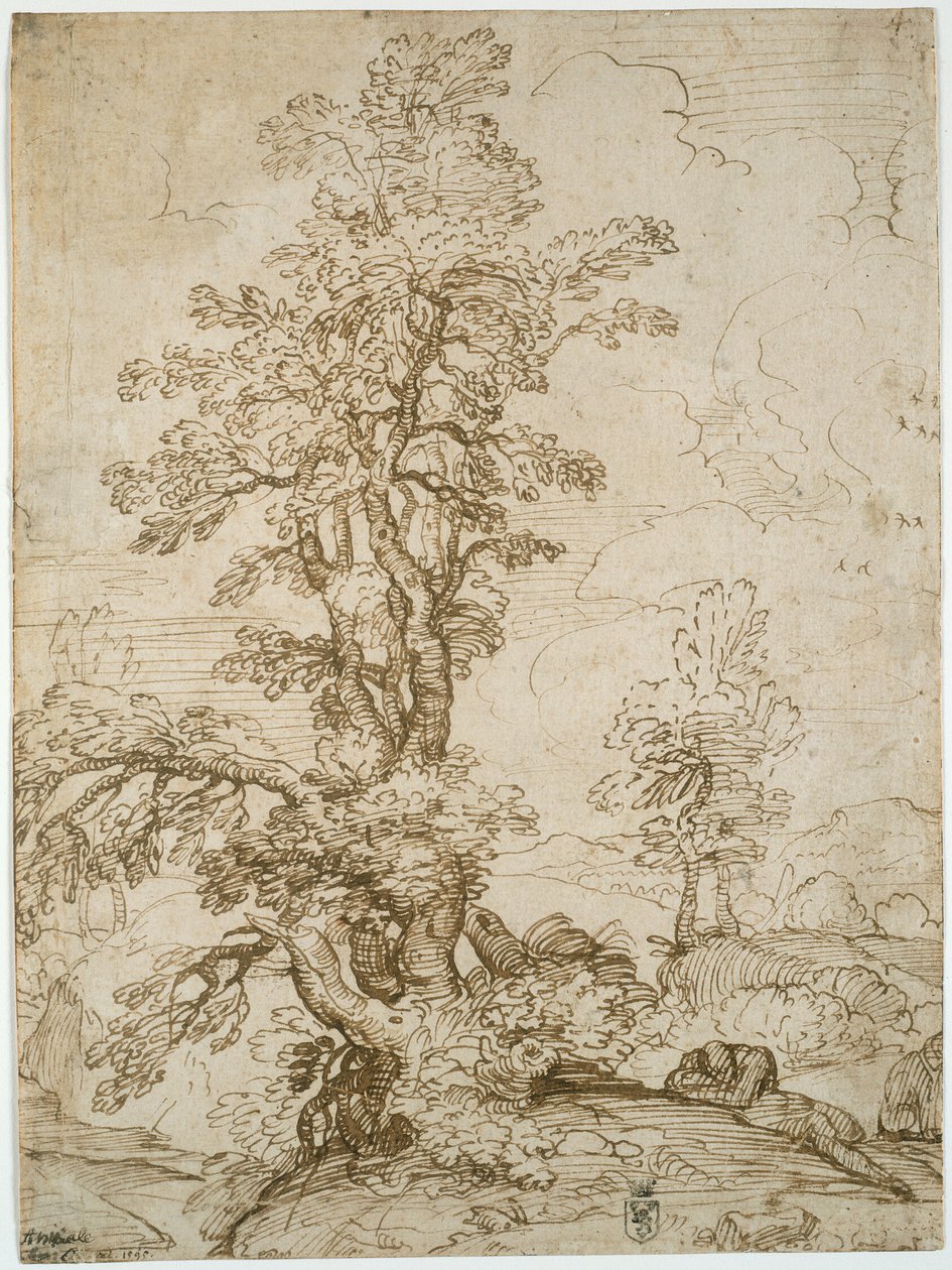 Landskab med sovende mand under træ (recto); Landskab med rytter (verso) af Annibale Carracci