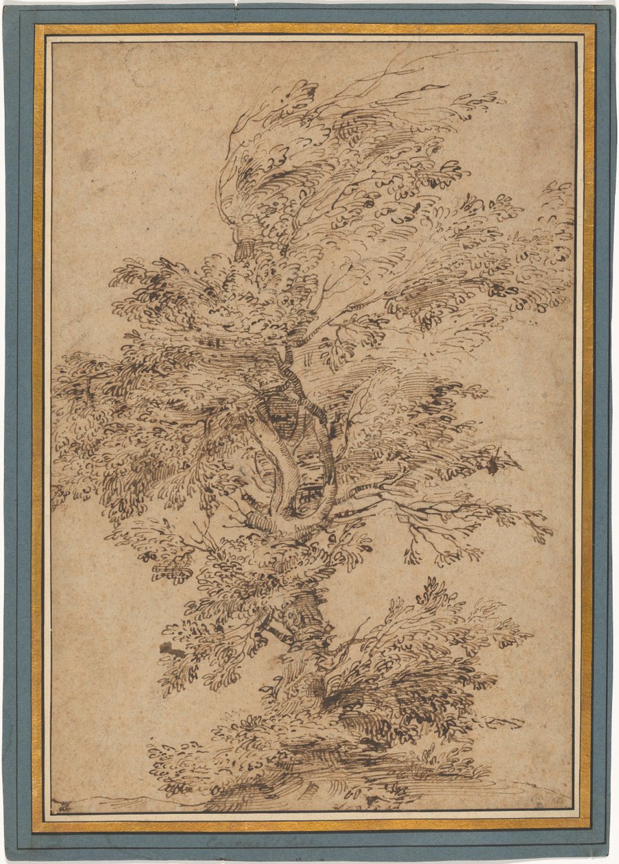 Studie eines Baumes af Annibale Carracci