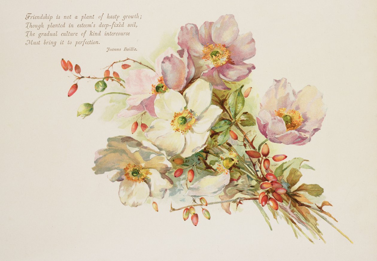Venskab, victoriansk, bogillustration af blomster af Unbekannt Unbekannt