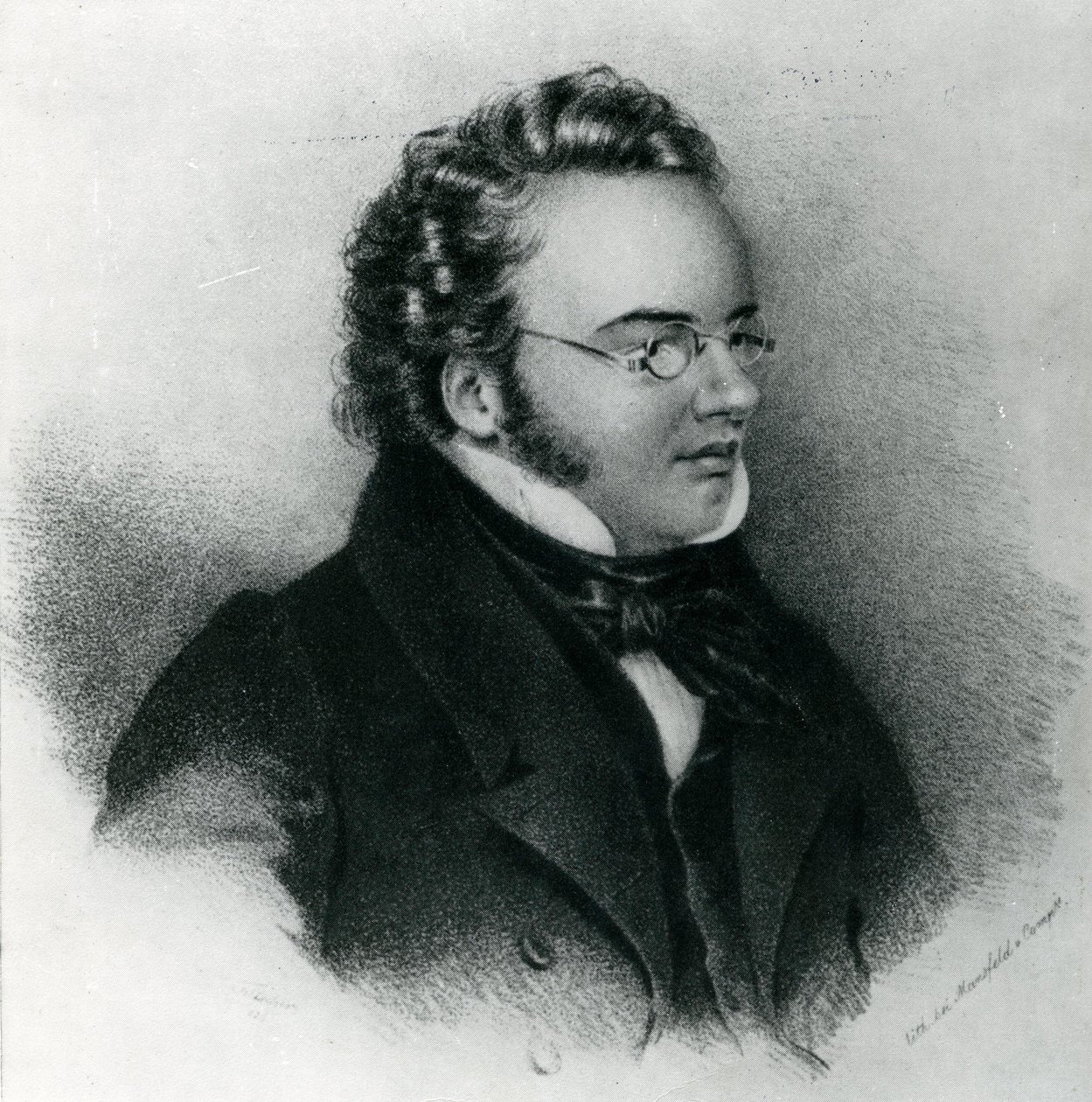 Portræt af Franz Schubert (1797-1828) af Unbekannt Unbekannt