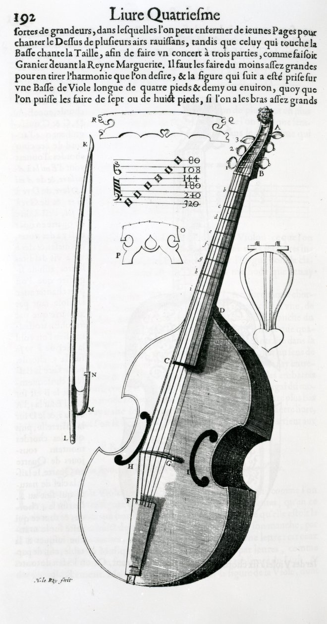 Viola, 1636 af Unbekannt Unbekannt
