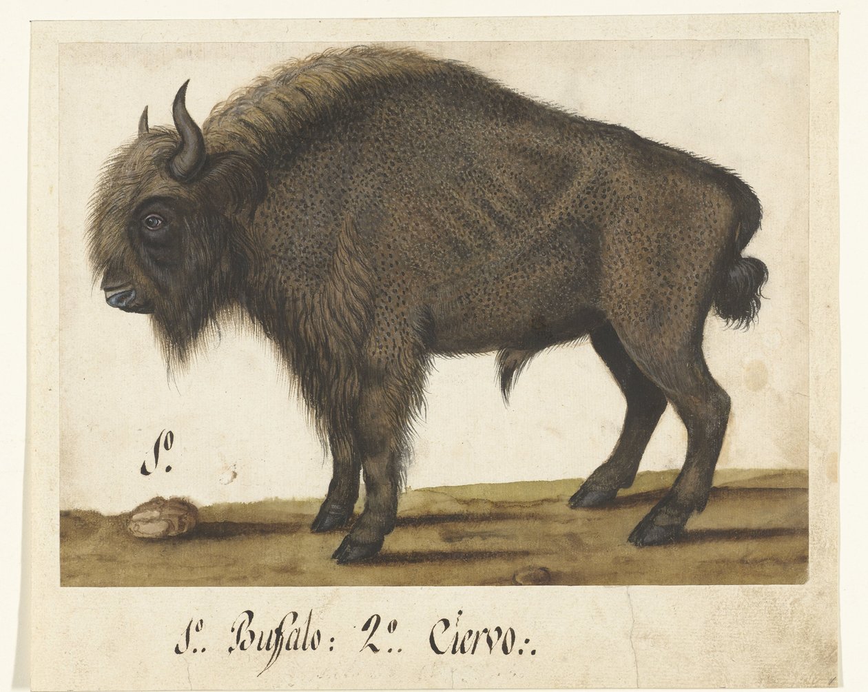 Albumark med en bison Bizon Lombard album (serietitel) af Anonymous