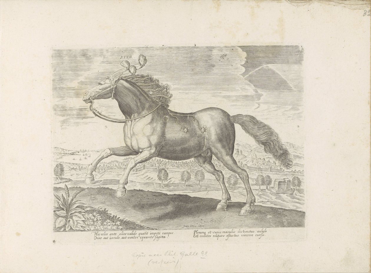 Arabisk paard Bring (titel på objekt) Paardenrassen uit de Koninklijke stallen van Don Juan van Austria (serietitel) Hesten, hvor alle slags adelige: hestes opførsel adskilt fra forskellige dele af verden udvalgt (...) (serietitel på objekt) af Anonymous