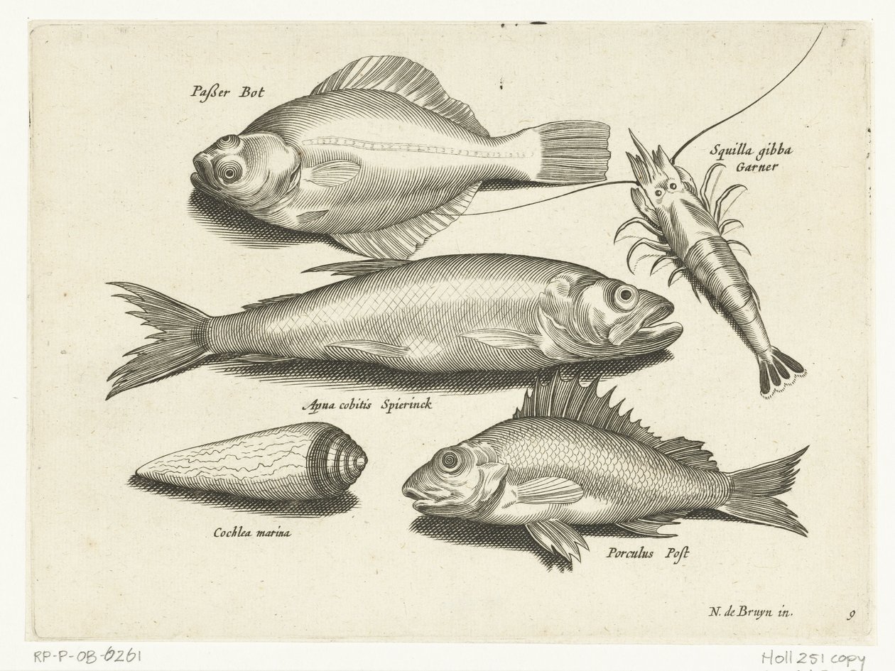 Skrubbe, rejer, smelt og pos Libelivs diverse Genera piscium complectens (serietitel) Ferskvandsfisk, havfisk, frøer, krebsdyr og havdyr (serietitel) af Anonymous
