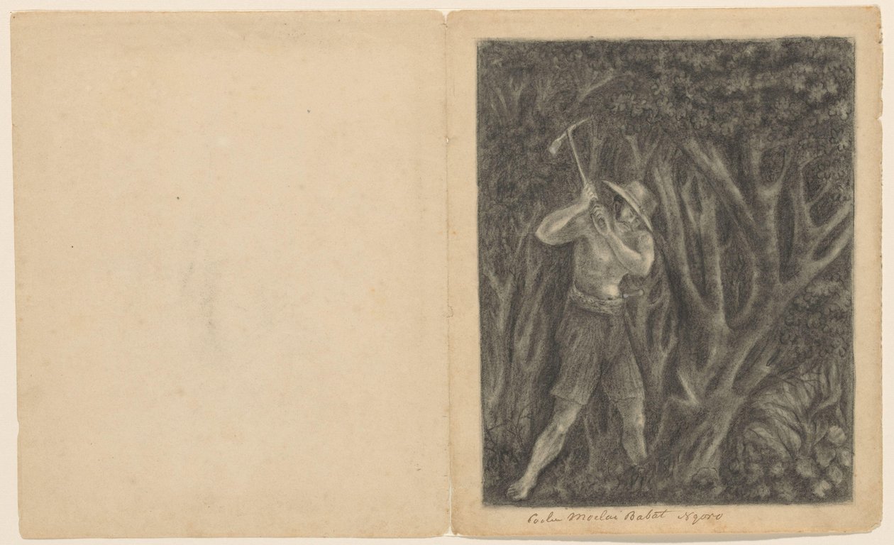 Coolen begynder at fælde en skov ved Ngoro, ca. 1820-1850 af Anonymous