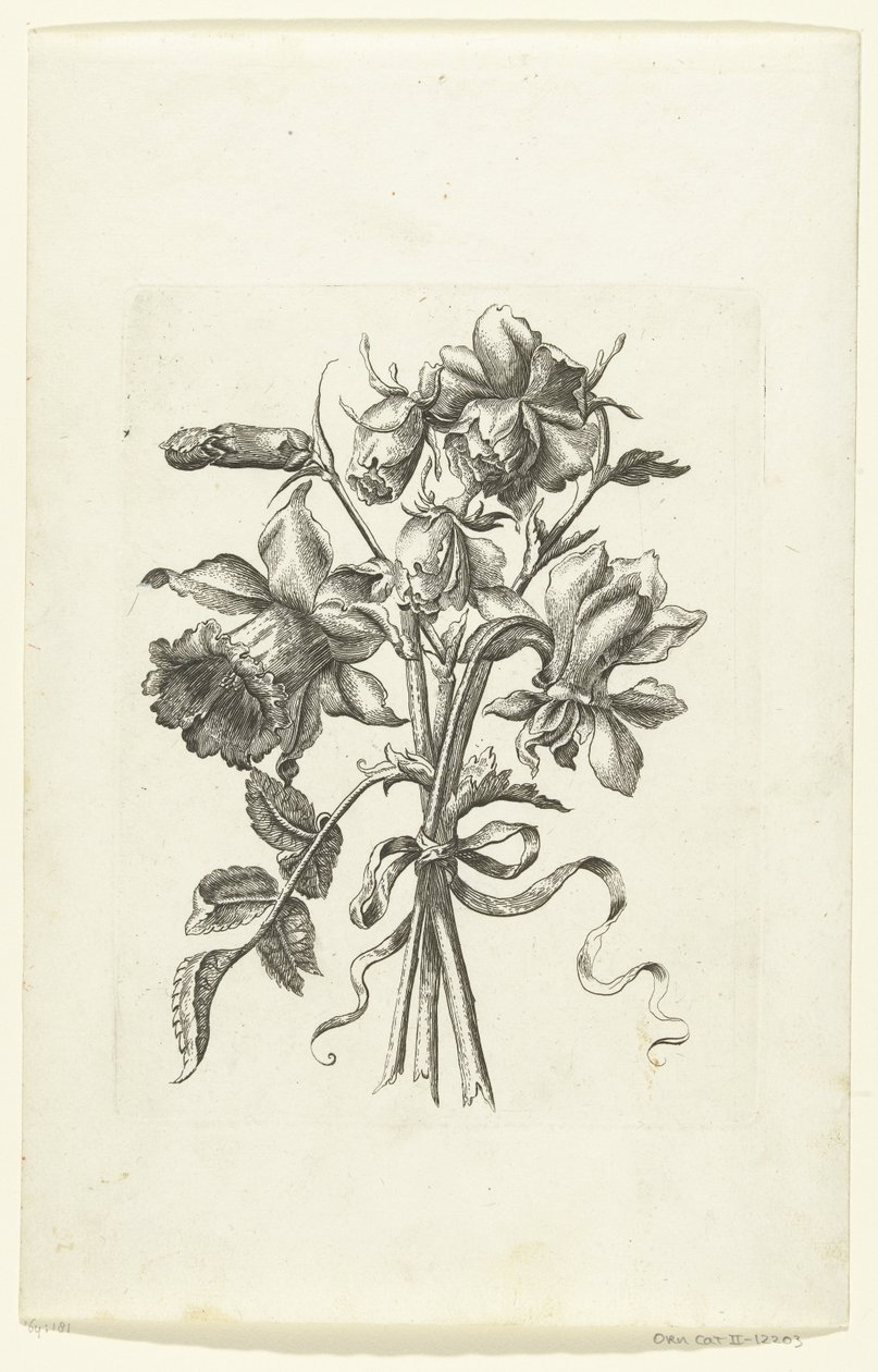 Tre blomster, inklusive en påskelilje og en nellike Novae Florum Icones (serietitel) af Anonymous